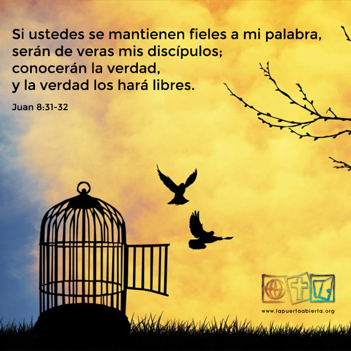 Juan8 31 31