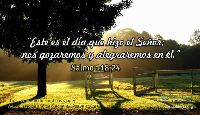 Salmo118 24