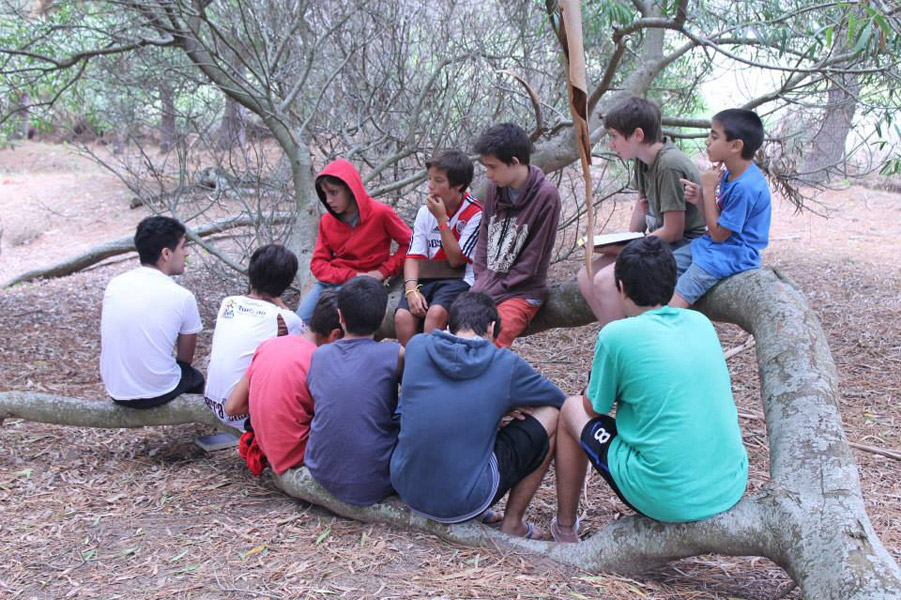 711256835572664 452012474 n