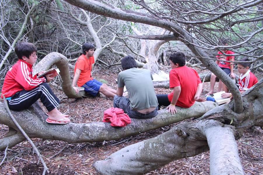 711256908905990 186337374 n