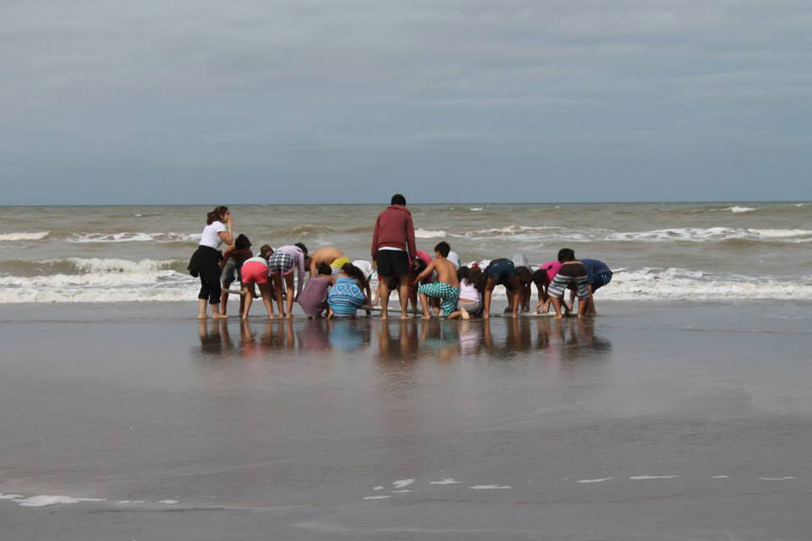 710810008950680 2095066123 n