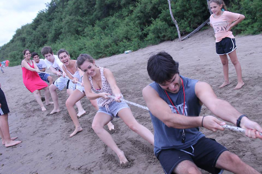 711258115572536 135383329 n