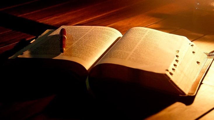 Tus palabras estarán guardadas en mi corazón