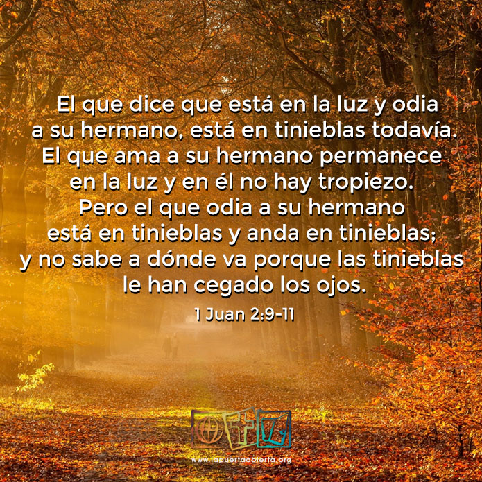 1juan2 9 11