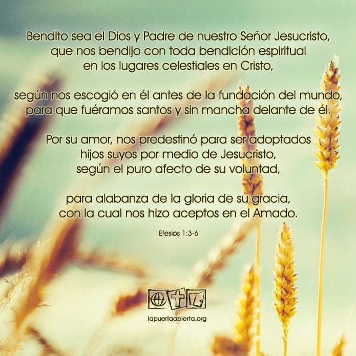Efesios1 3 6