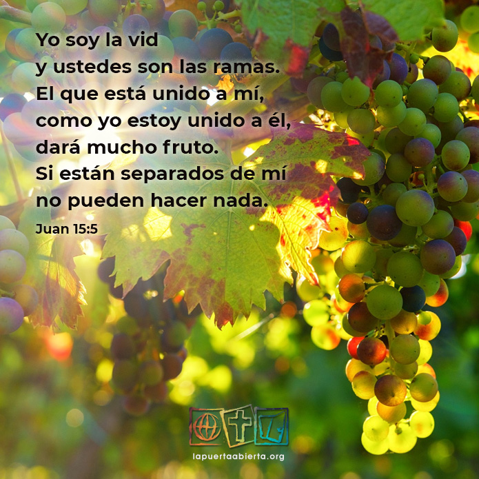Juan15 5