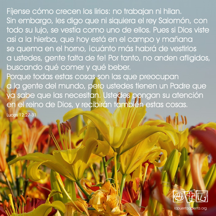 Lucas12 27 31
