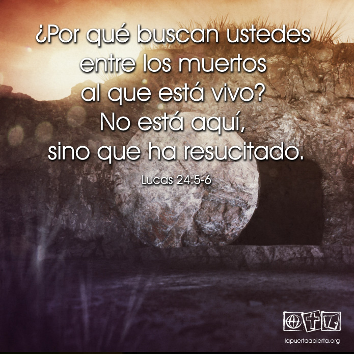 Lucas24 5 6