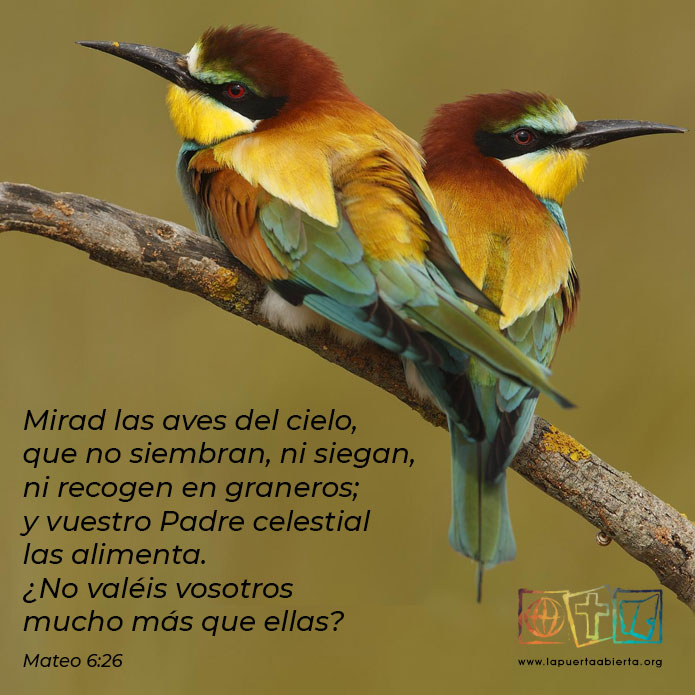 Mateo6 26