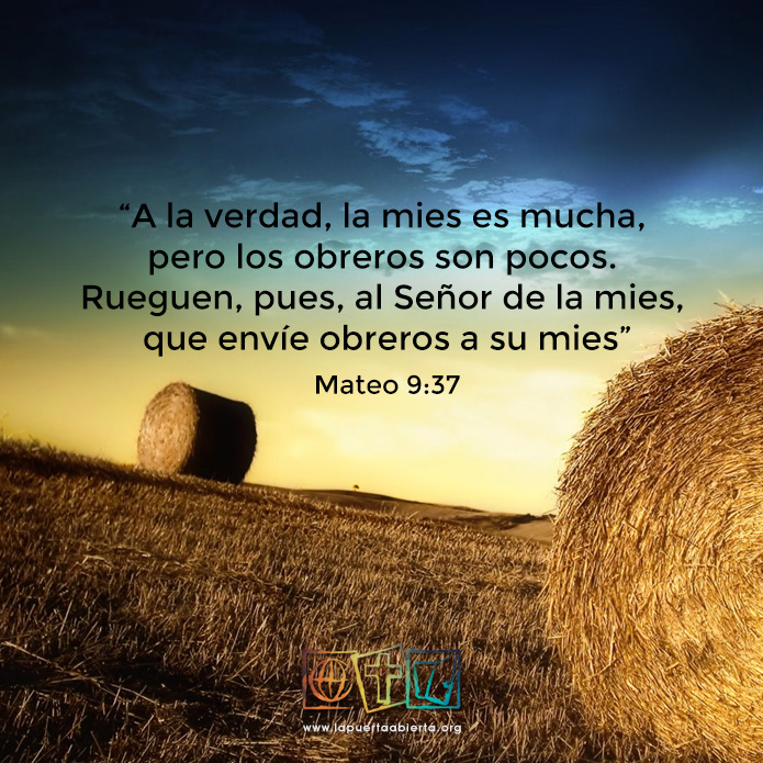 Mateo9 37