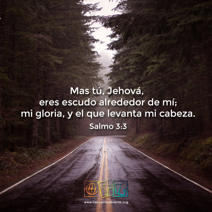 Salmo3 3